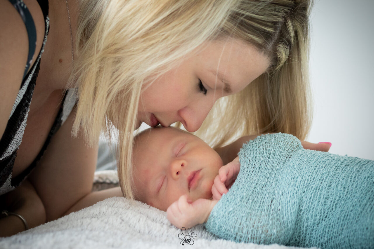 Photographe - Animaux - Chien- Chat - Nouveau-né / Grossesse - Maternité / Famille et Évènement à Bourg-en-Bresse, Péronnas dans l'Ain
